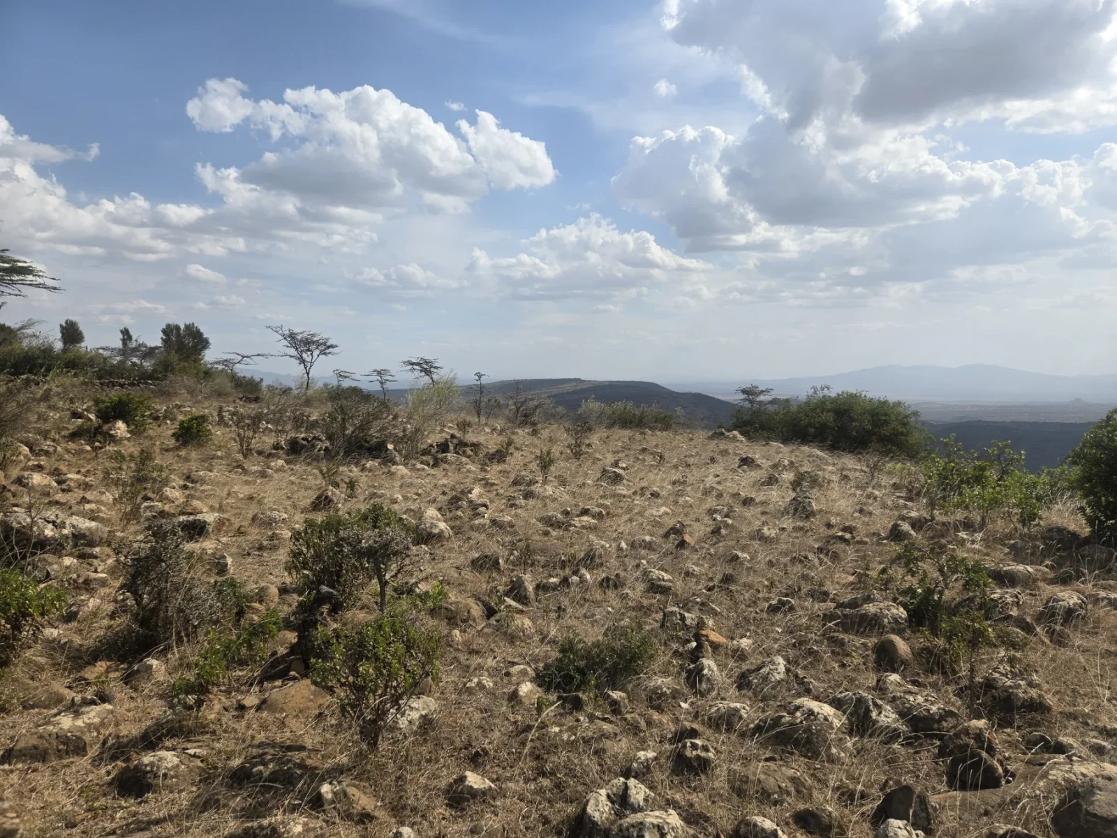 Rocky ground, grass and vegetation across the landscape.