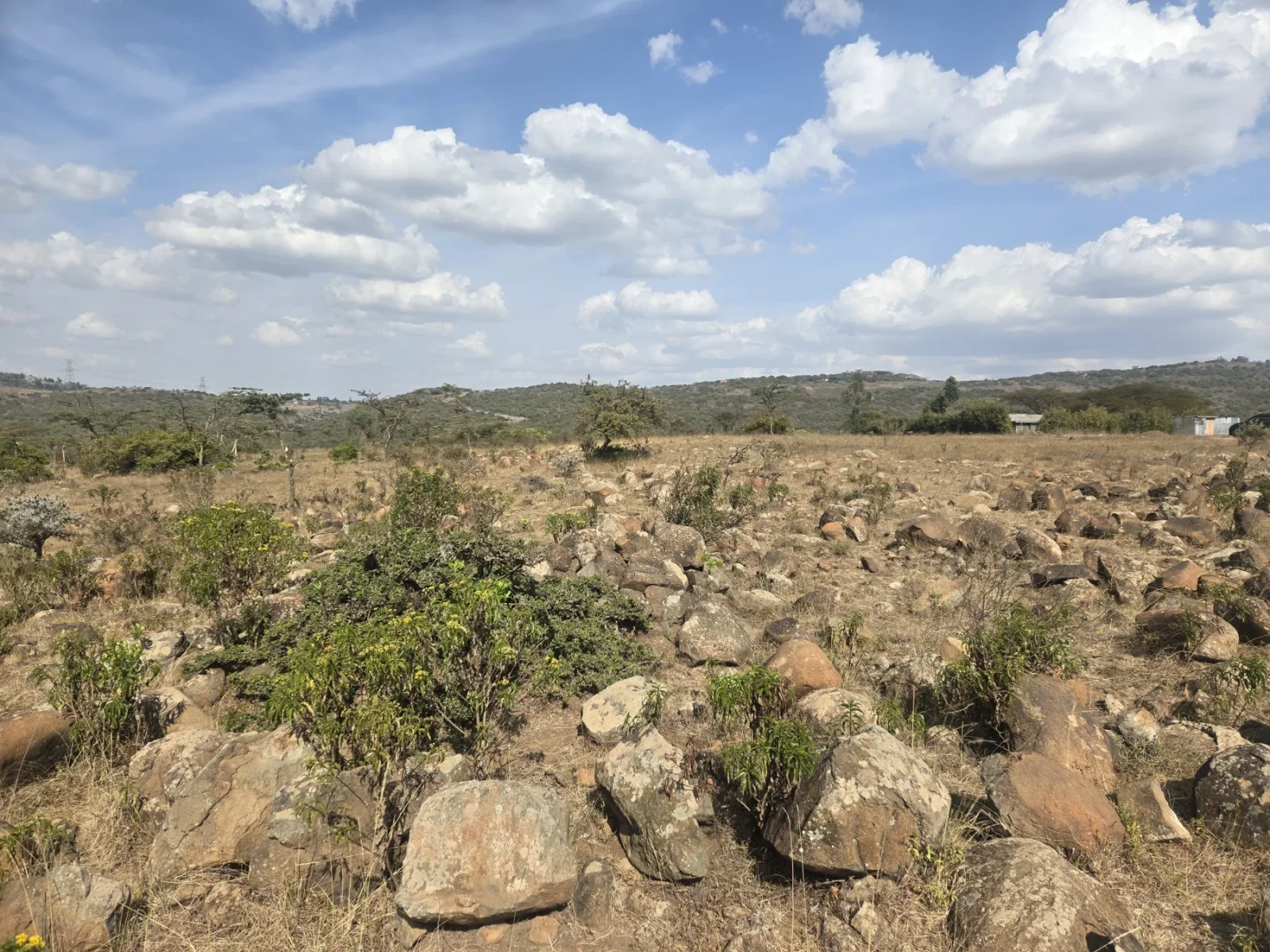 Open terrain and vegetation with structures visible in the distance.